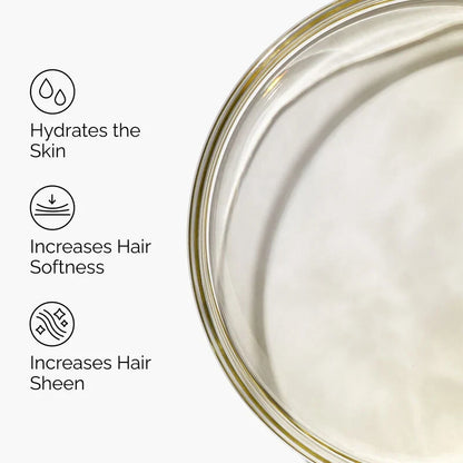 100% Huile d'Argan Bio du Maroc Pressée à Froid